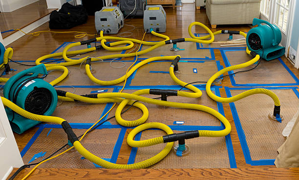 Professional Basement Flood Cleanup technician working in Watson, LA